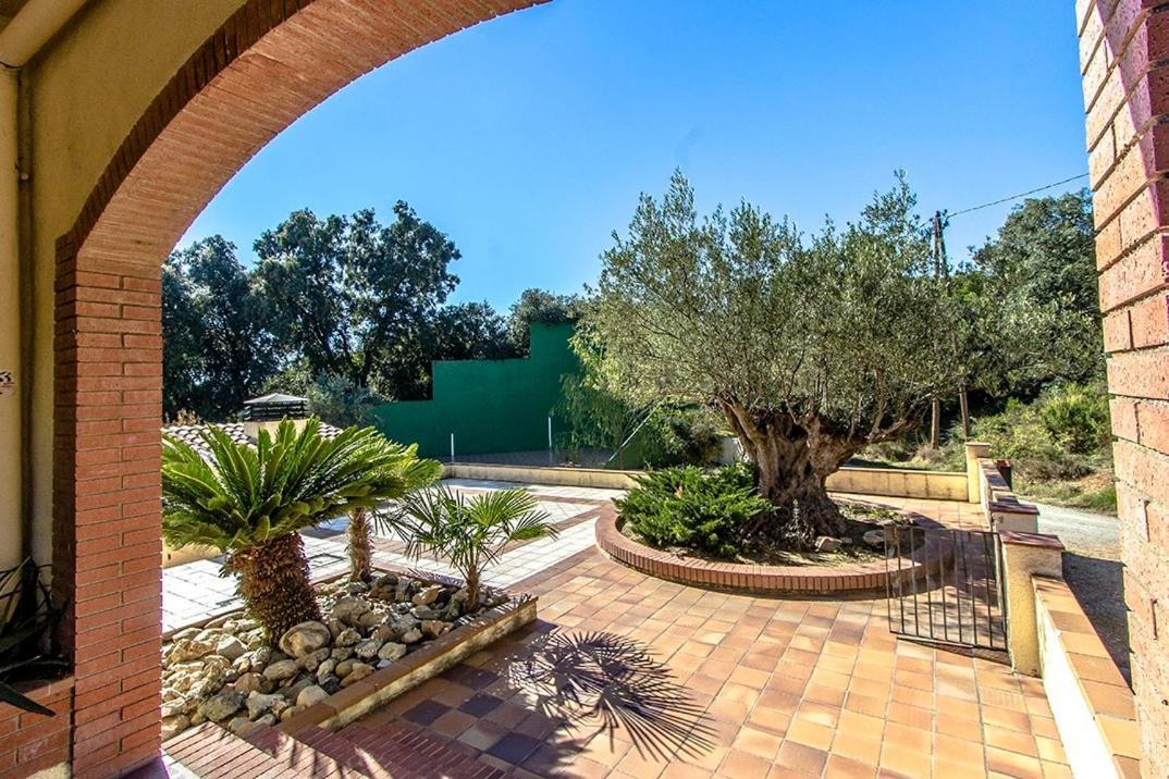 Catalunya Casas Nature And Tranquility For 24 Pax - 30Km To Beach Sant Pere de Vilamajor Luaran gambar